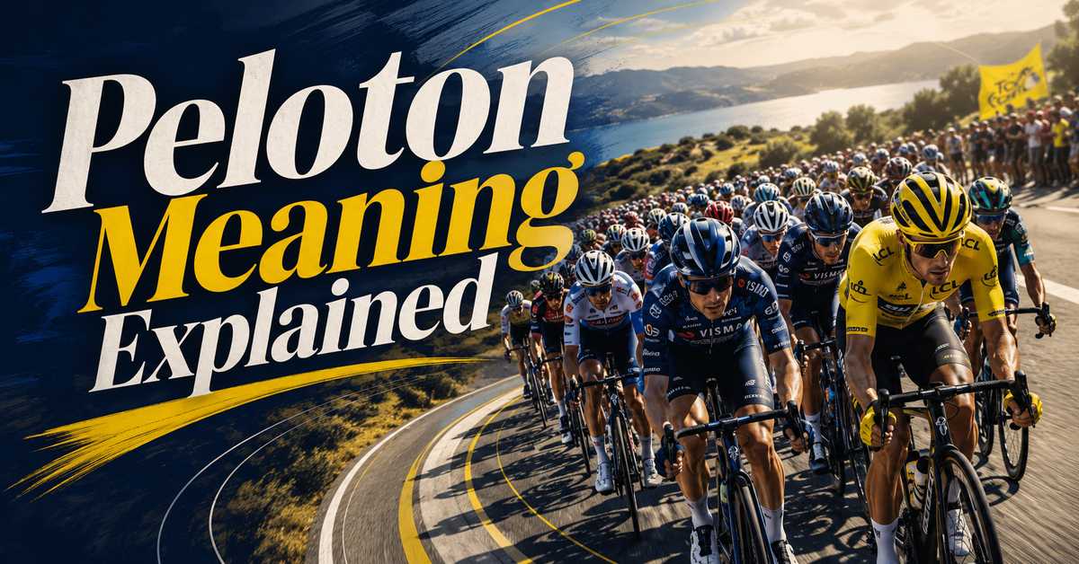 Large peloton of road cyclists riding closely together on a sunny highway