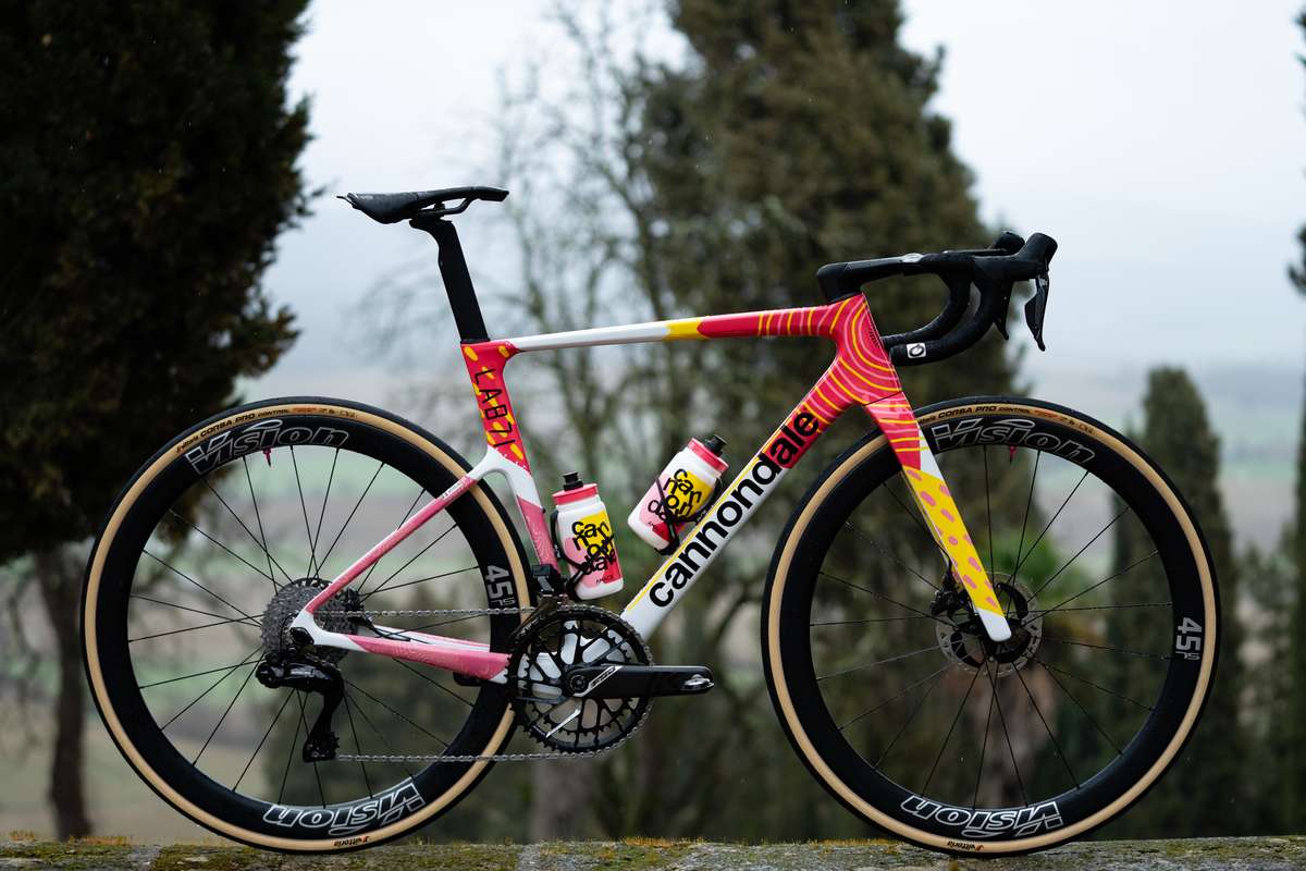 Lightweight carbon climbing frame with thin seatstays and minimal paint showing weight-focused design